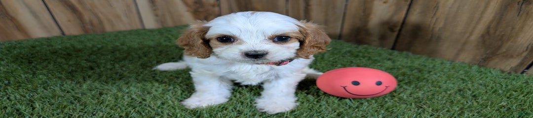 Fiona Girl 1