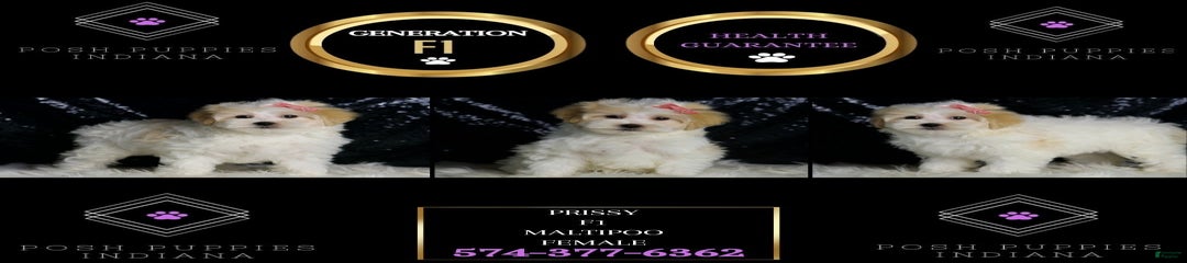 Prissy