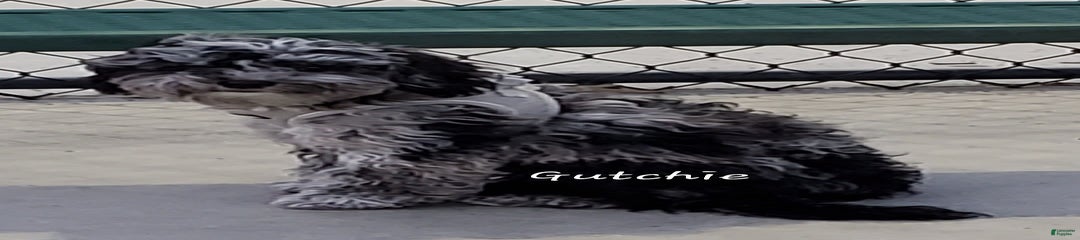 Gutchie