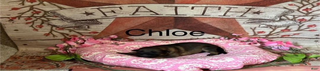Chloe