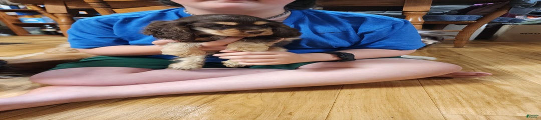 Reece