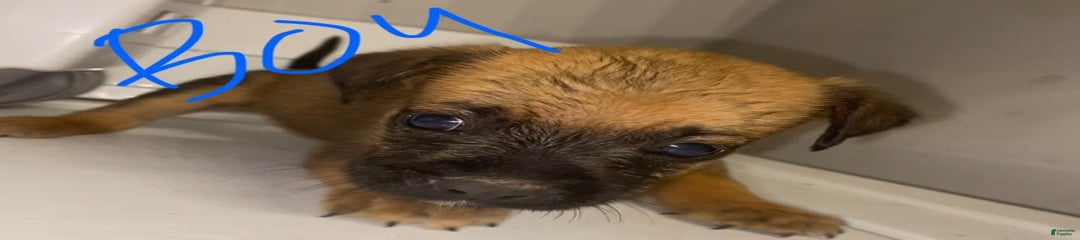 Mix