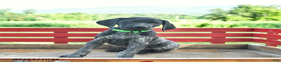 Hunter