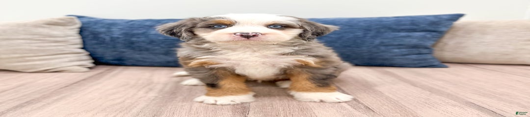 Axle