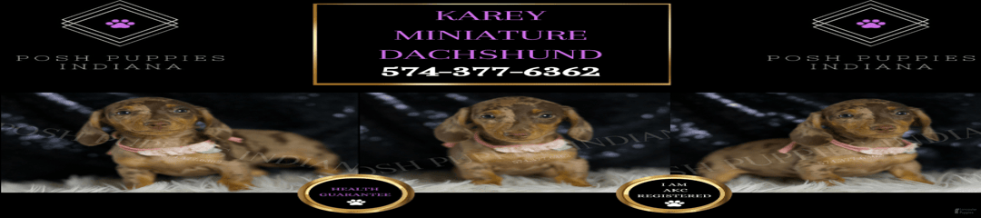 Karey