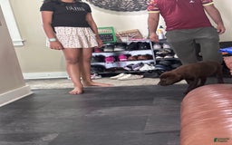 Labrador Retriever dogs for sale: Rocky - Image 2