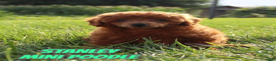 Stanley
