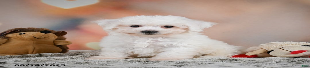 Benny