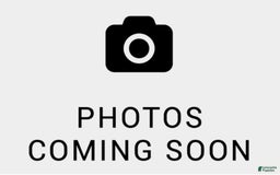 Mini Bernedoodle dogs for sale: 🤎 In Boston Massachusetts 🤎 Two Blue Eyes 🤎 Mini Bernedoodle 🤎 - Image 1