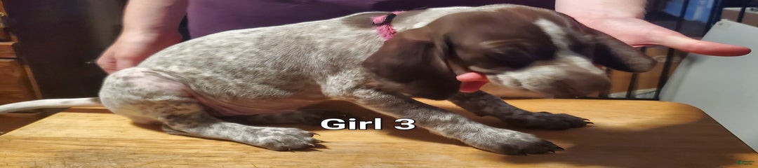Girl 3