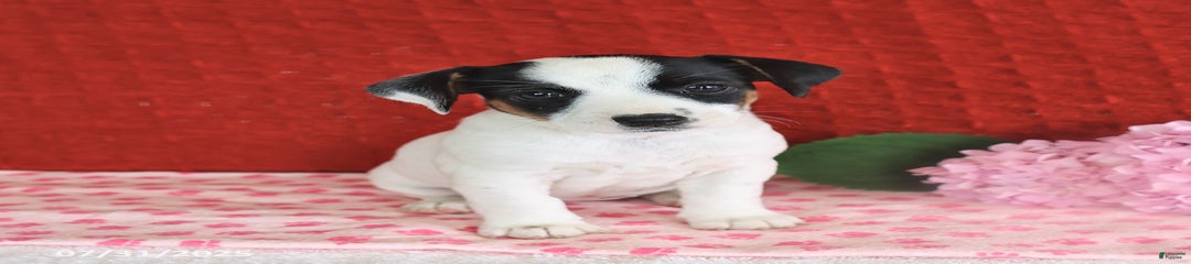 Ruby