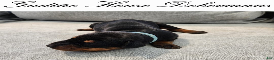 Blue Collar Female