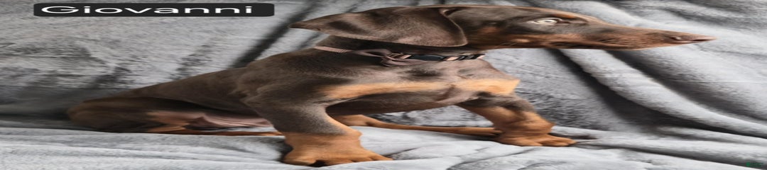 Giovanni