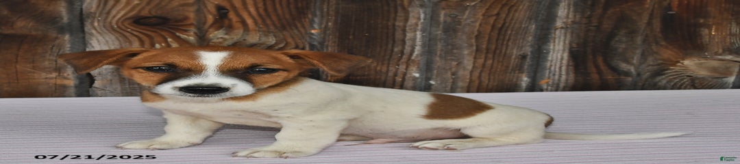 Charlie