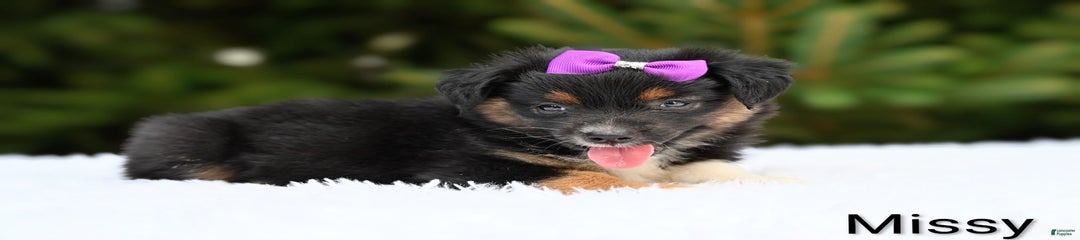 Missy