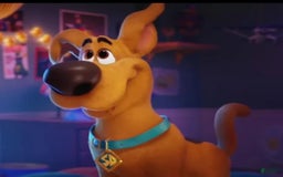 Great Dane dogs for sale: Scooby Doo - Image 3