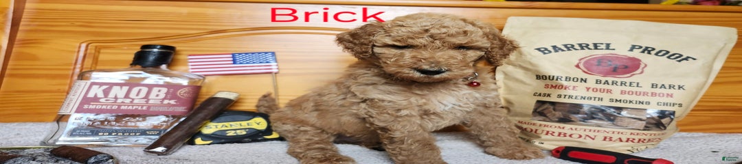 Brick