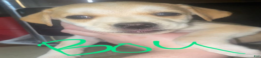 Mix