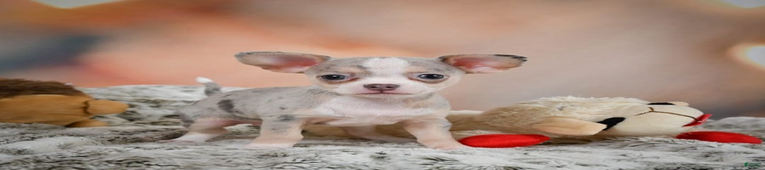 Una