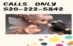 Shih Tzu dogs for sale: Full AKC Jasper - Image 6