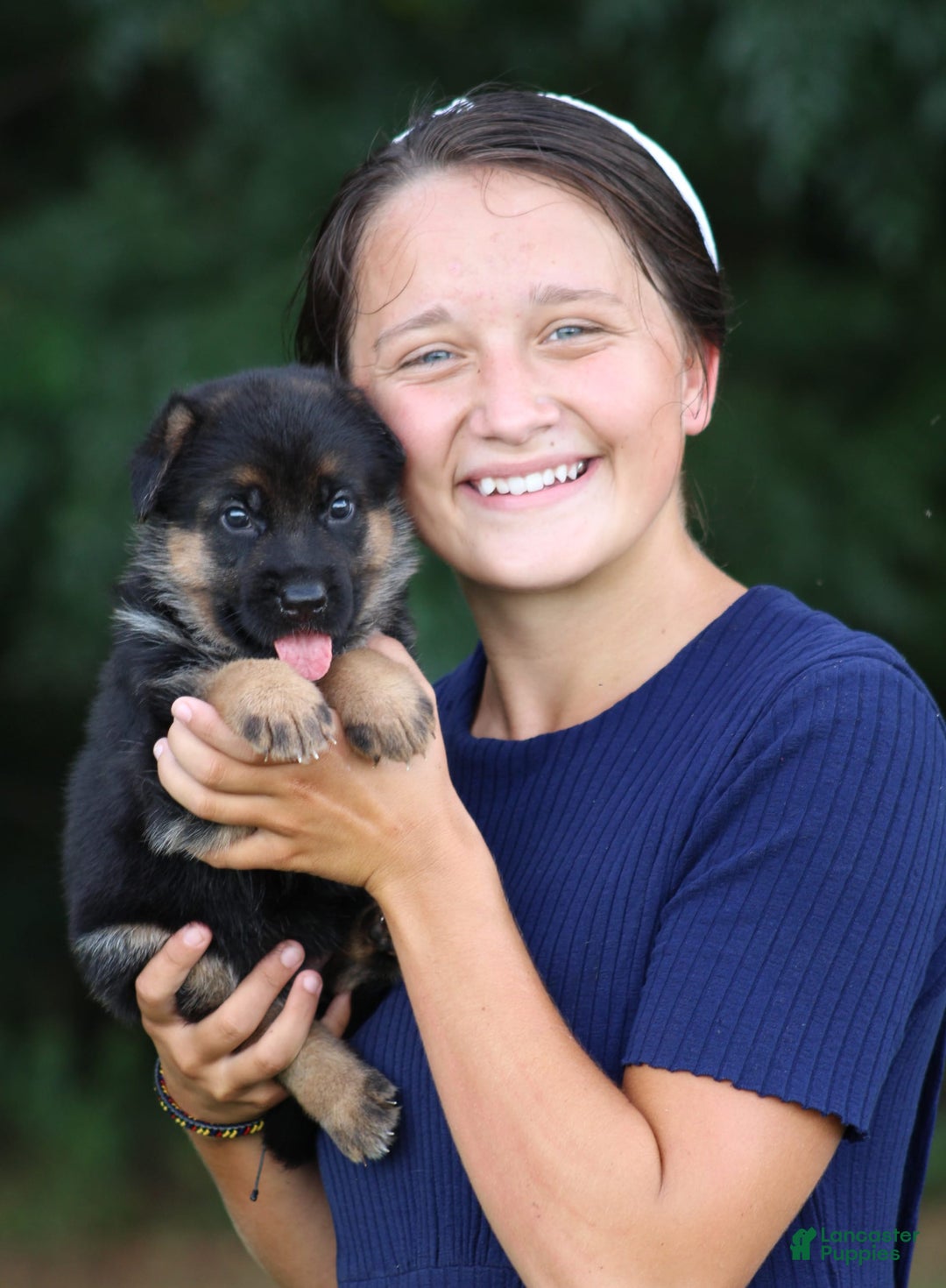 German Shepherd dogs for sale: Jayla - Image 2