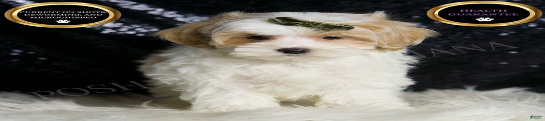 Astro