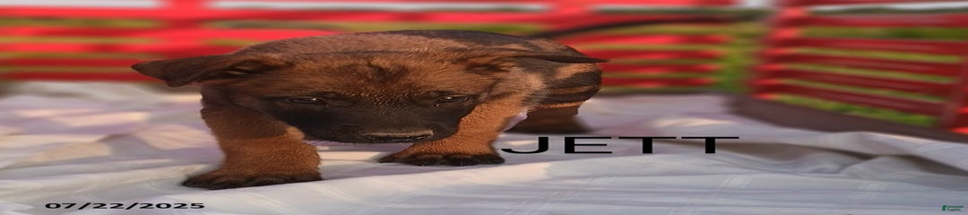 Jett