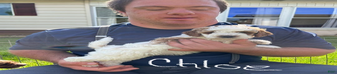 Chloe