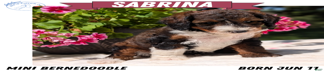 Sabrina
