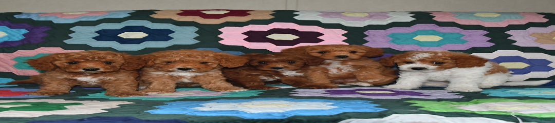 Penny