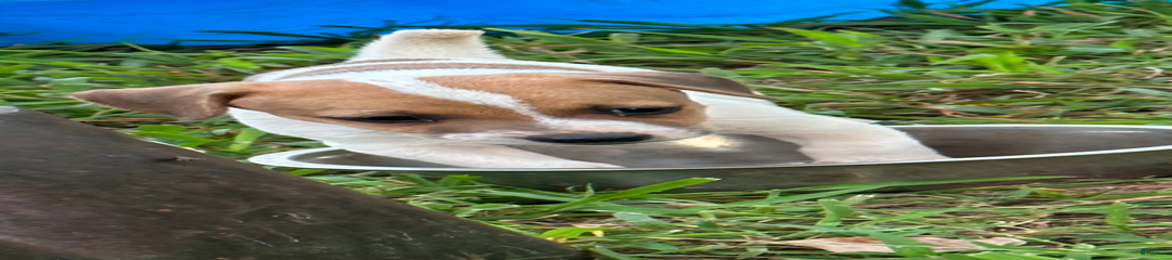 Boy 2