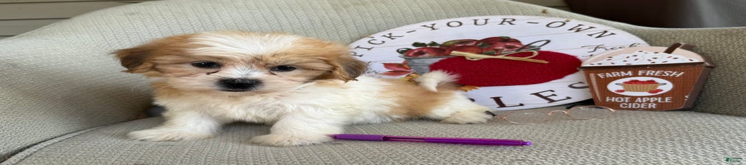 Felicity