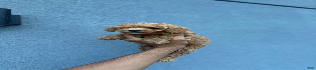 Carl