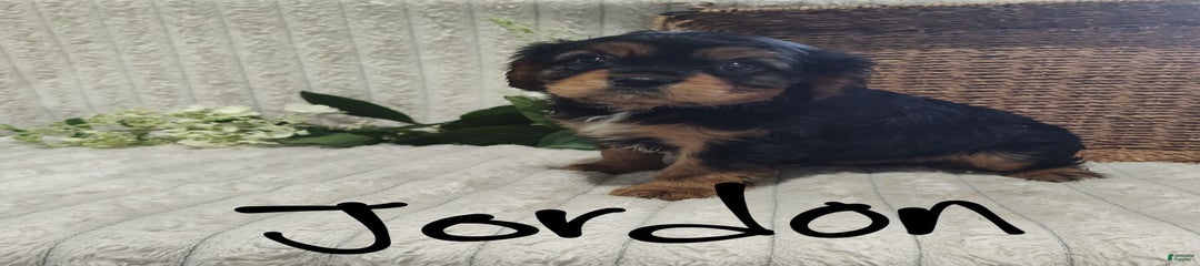 Jordan
