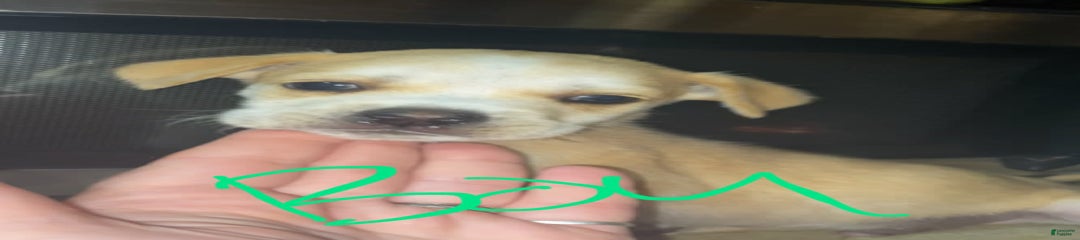 Mix