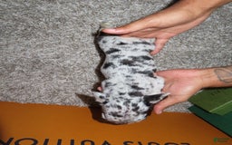 French Bulldog dogs for sale: Milkshake - Image 1