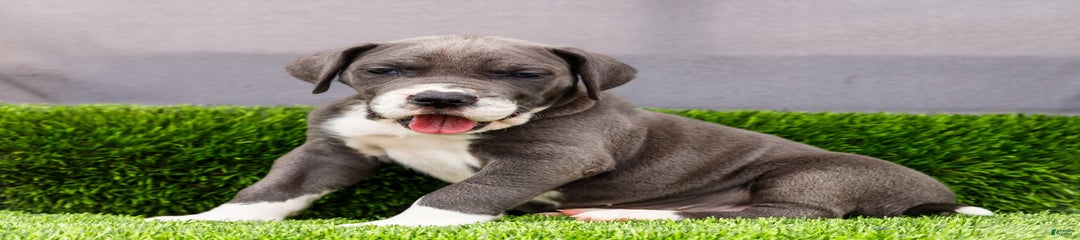 Karen