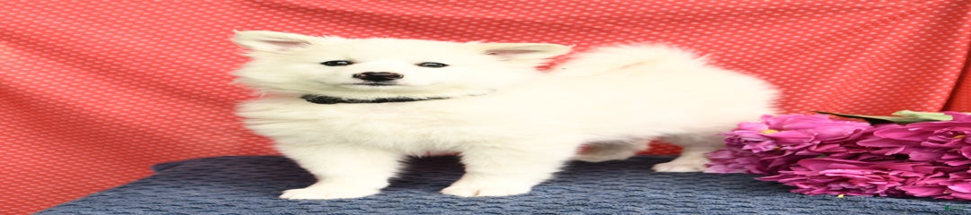 Milly