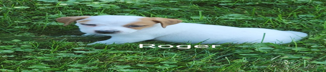 Roger