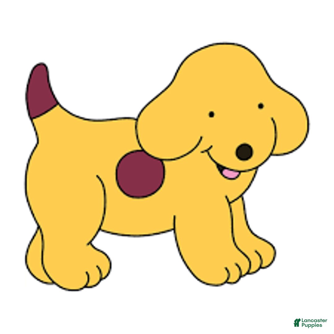 Goldendoodle dogs for sale: Spot - Image 1