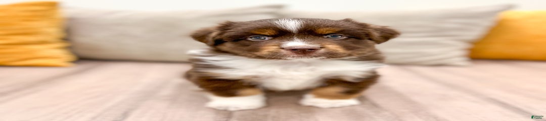 Milo