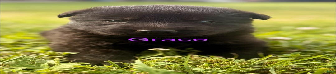 Grace