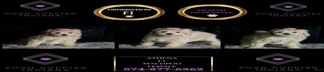 Athena