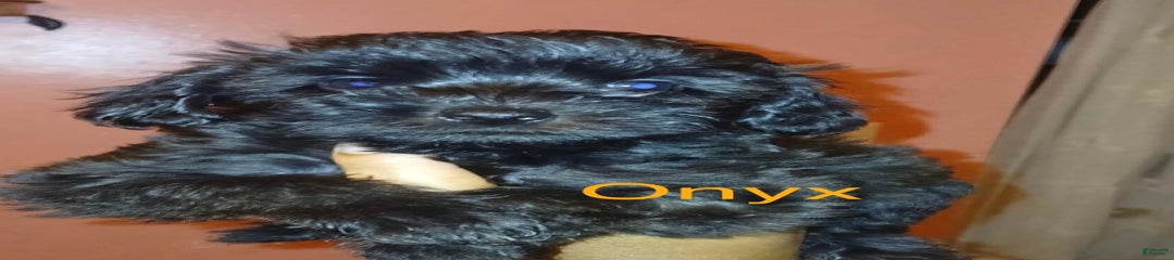 Onyx