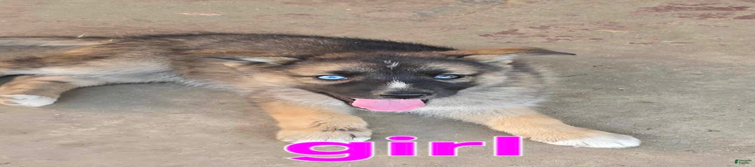 Girl 2