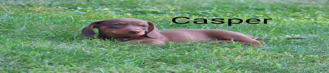 Casper