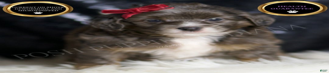 Colleen