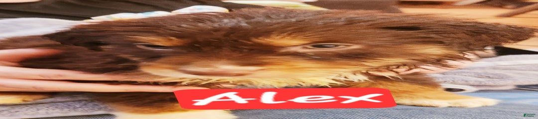 Alex