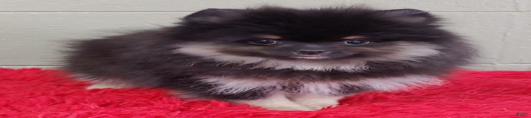 Danny
