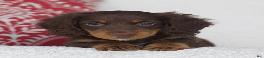 Roscoe